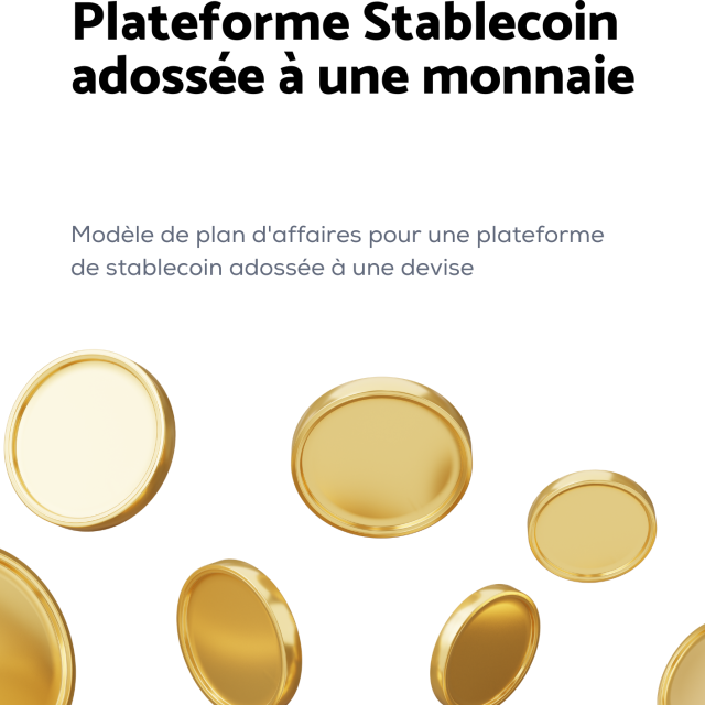 Modèle de plan d'affaires pour une plateforme de stablecoin adossée à une devise