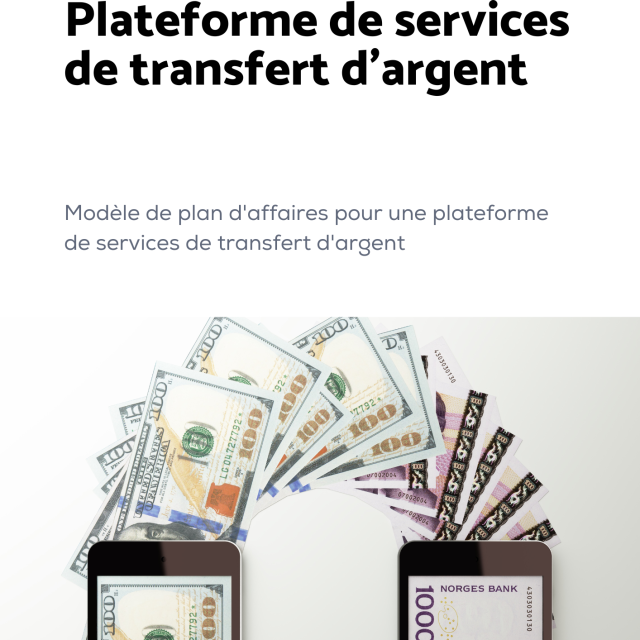 Modèle de plan d'affaires pour une plateforme de services de transfert d'argent